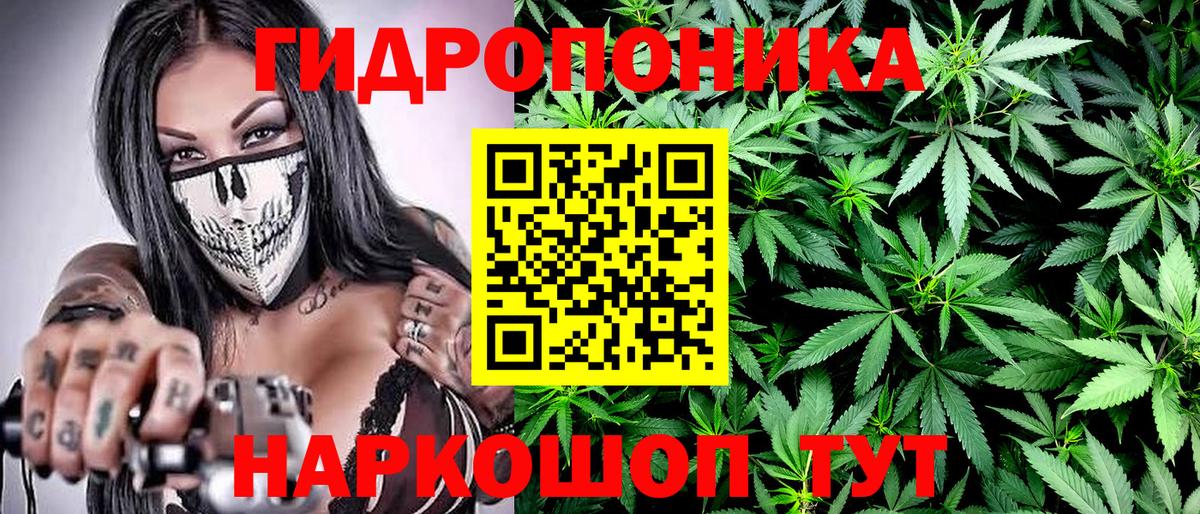 Шишки марихуана ГИДРОПОН Оренбург